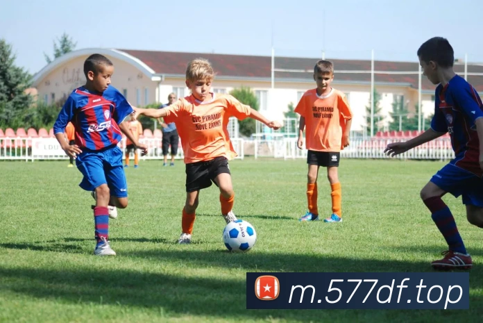 App Interface Preview